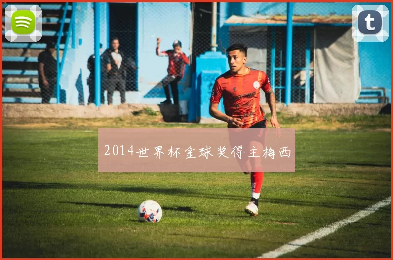 2014世界杯金球奖得主梅西