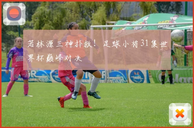 若林源三神扑救!足球小将31集世界杯巅峰对决