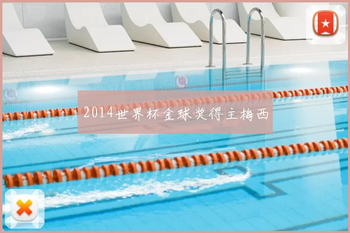 2014世界杯金球奖得主梅西