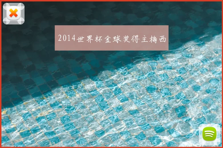 2014世界杯金球奖得主梅西