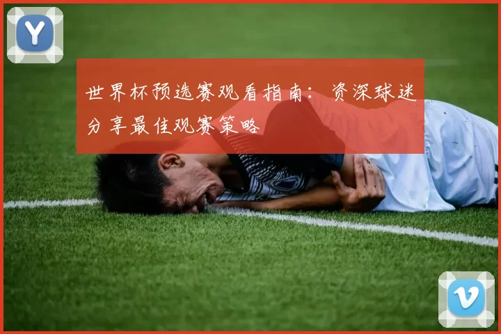 世界杯预选赛观看指南:资深球迷分享最佳观赛策略