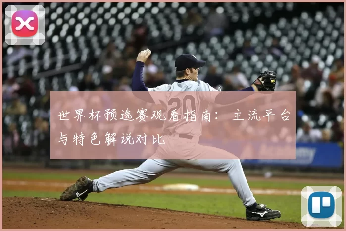 世界杯预选赛观看指南：主流平台与特色解说对比