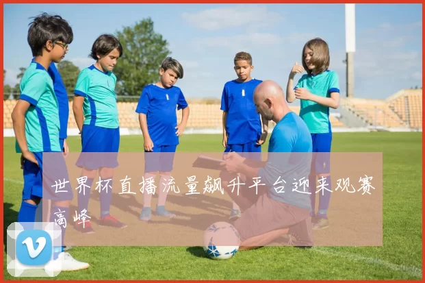 世界杯直播流量飙升平台迎来观赛高峰