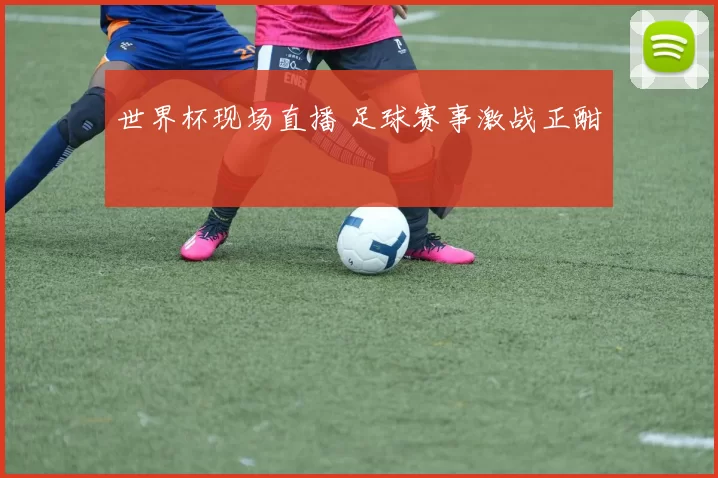 世界杯现场直播 足球赛事激战正酣