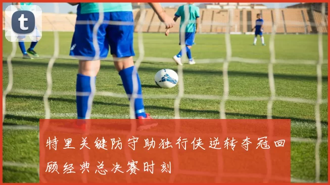 特里关键防守助独行侠逆转夺冠回顾经典总决赛时刻