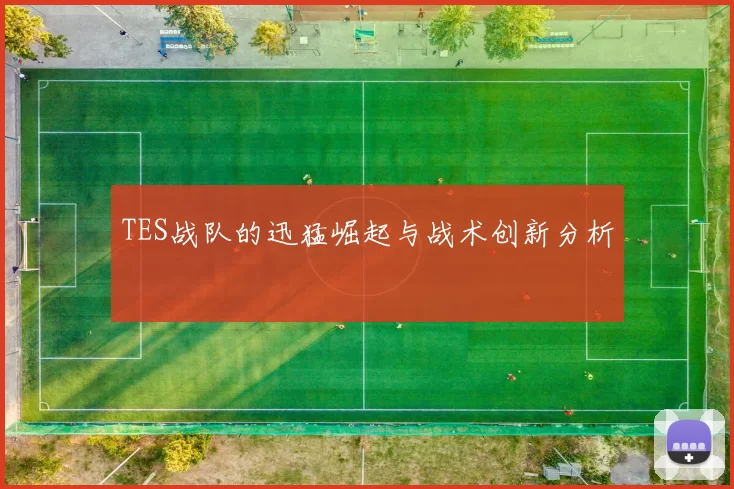 TES战队的迅猛崛起与战术创新分析