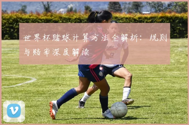 世界杯赌球计算方法全解析：规则与赔率深度解读