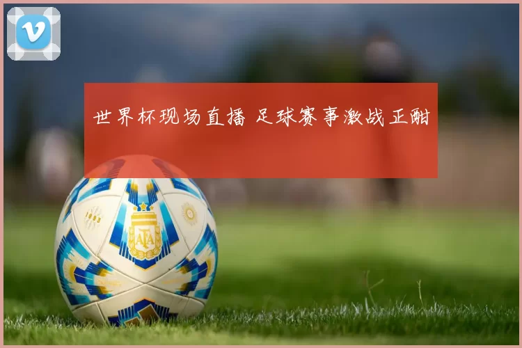 世界杯现场直播 足球赛事激战正酣